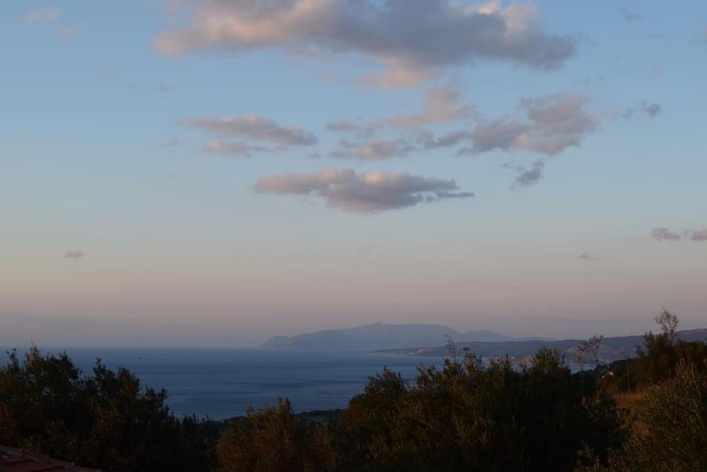 O Palaios Fournos Tou Andrea Lägenhet Argostoli  Exteriör bild