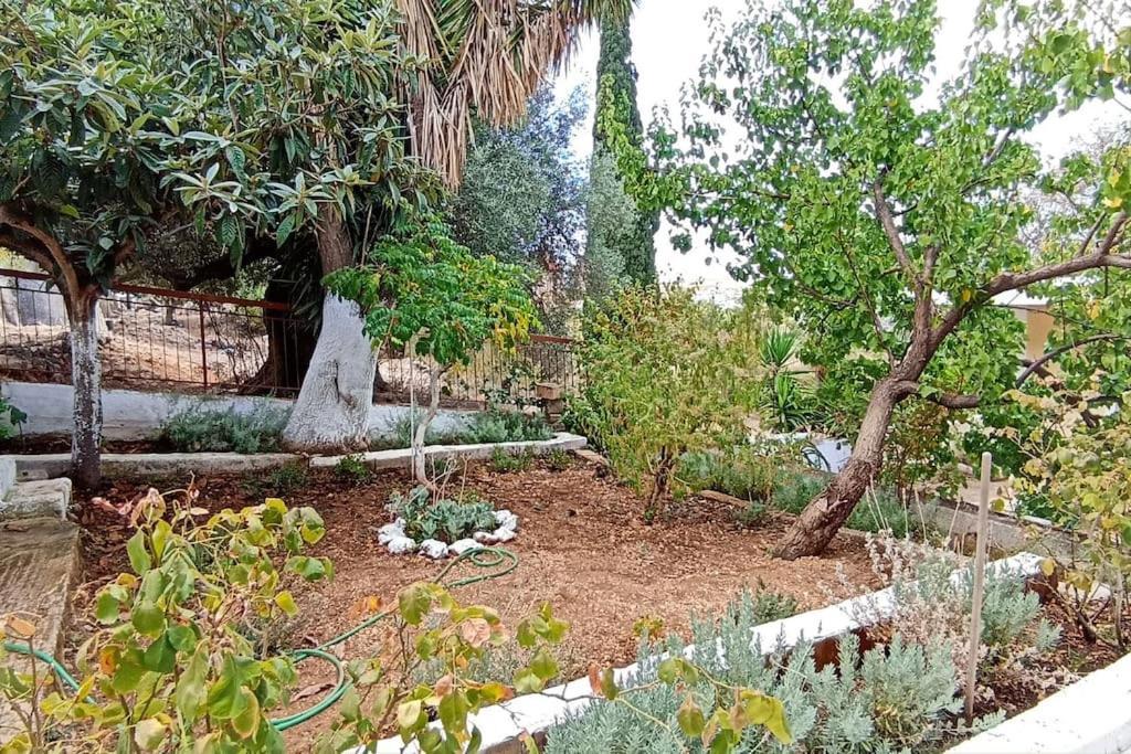 O Palaios Fournos Tou Andrea Lägenhet Argostoli  Exteriör bild